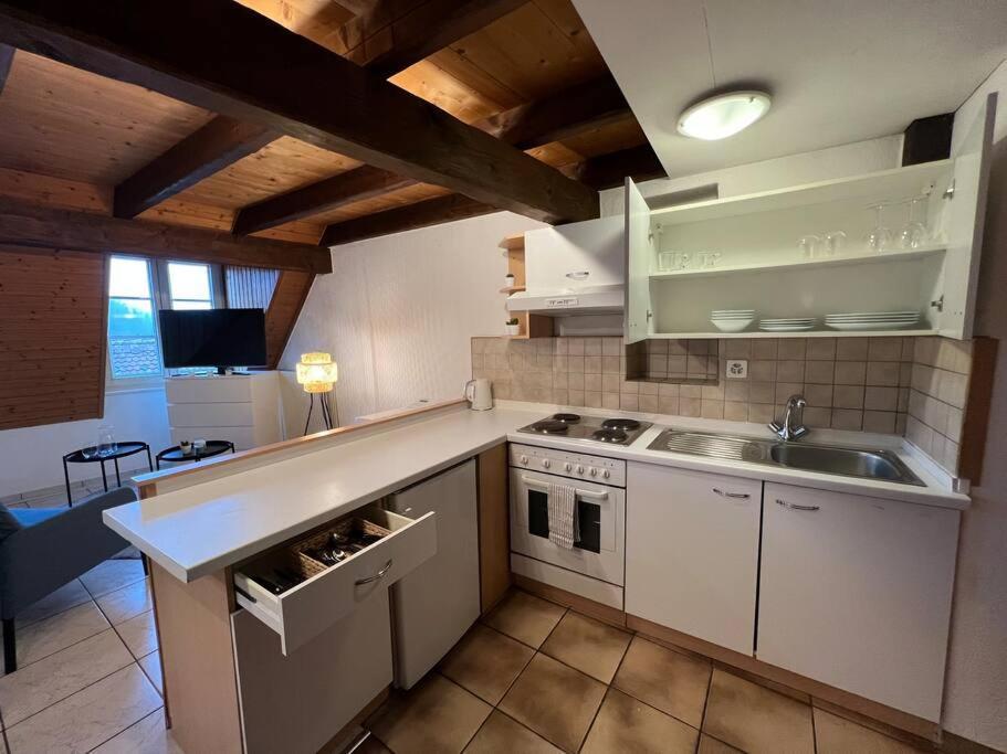Charmant Appartement En Duplex A Porrentruy Dış mekan fotoğraf
