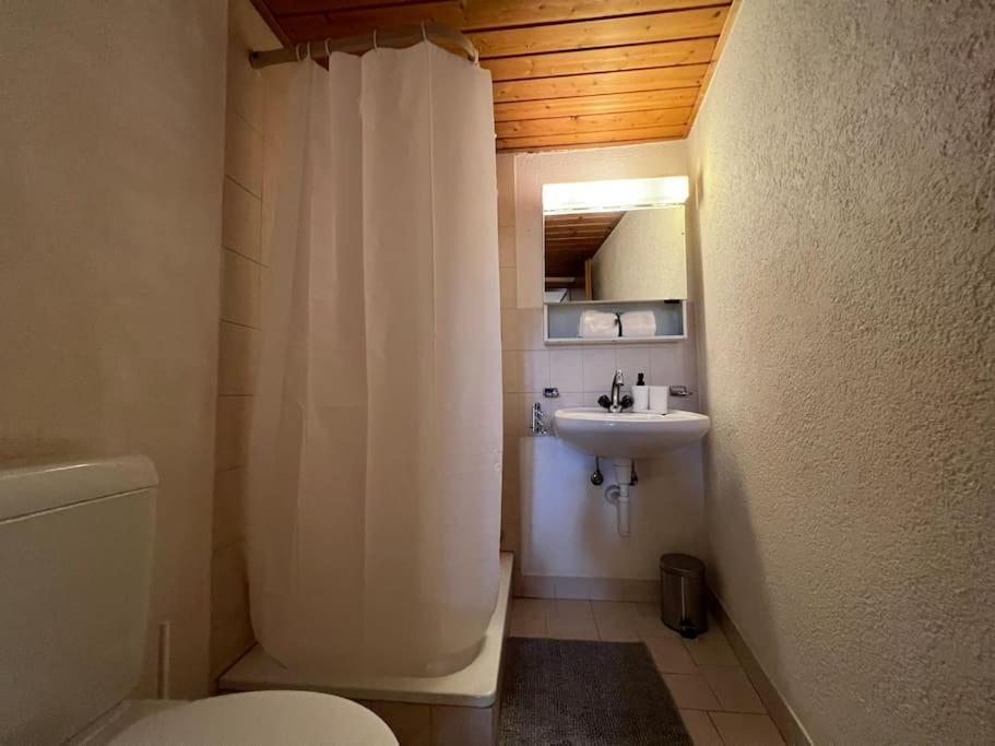 Charmant Appartement En Duplex A Porrentruy Dış mekan fotoğraf